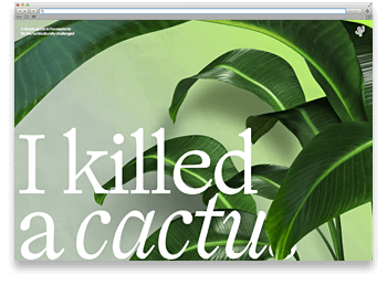 R&R/COM Website der Woche 19 2023: I killed A Cactus